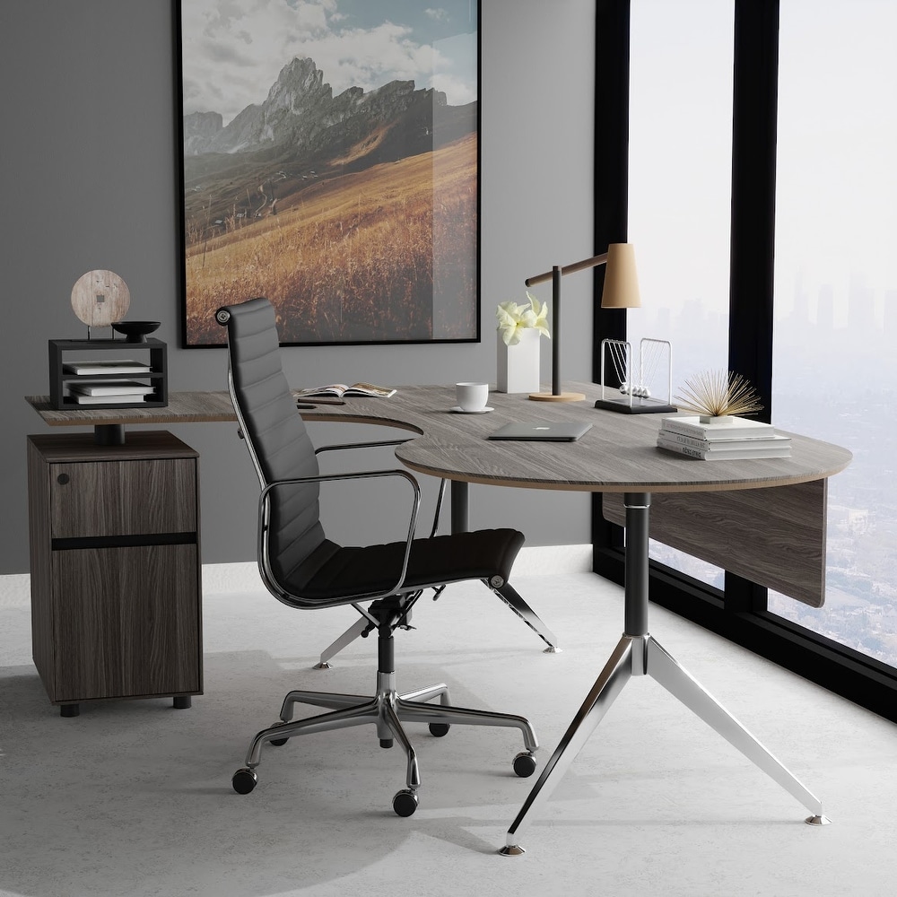 https://ak1.ostkcdn.com/images/products/is/images/direct/d6347de1b4f07bfa77bdb91231d3799274ff466a/Rye-Studio-Large-Modern-Executive-Desk-with-Filing-Cabinet%2C-Grey.jpg