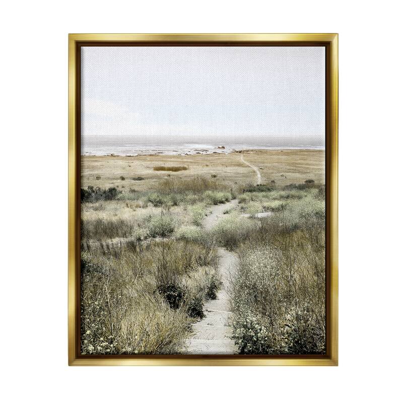 Stupell Distant Shoreline Grassy Beach Path Cloudy Horizon Floater Frame - Green