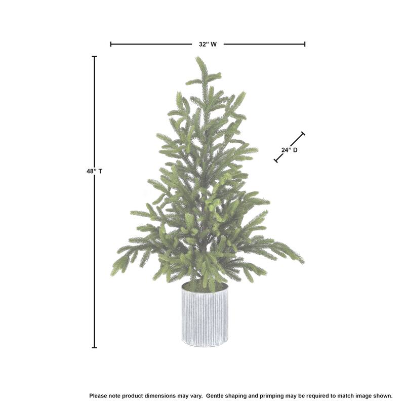 48" Potted Norway Spruce Tree