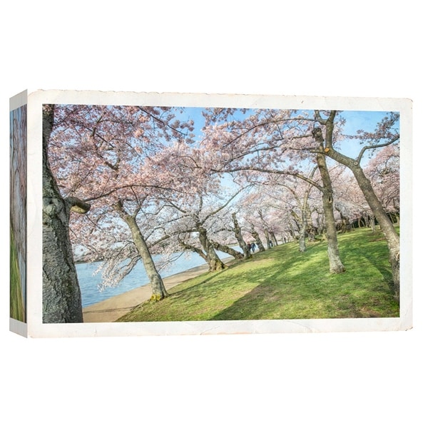 PTM Images 9-103792 PTM Canvas Collection 8" x 10" - "Cherry Blossoms 3" Giclee Forests Art Print on Canvas