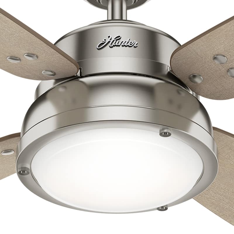 Hunter 52" Wingate Ceiling Fan with LED Light Kit and Handheld Remote - Transitional, Coastal