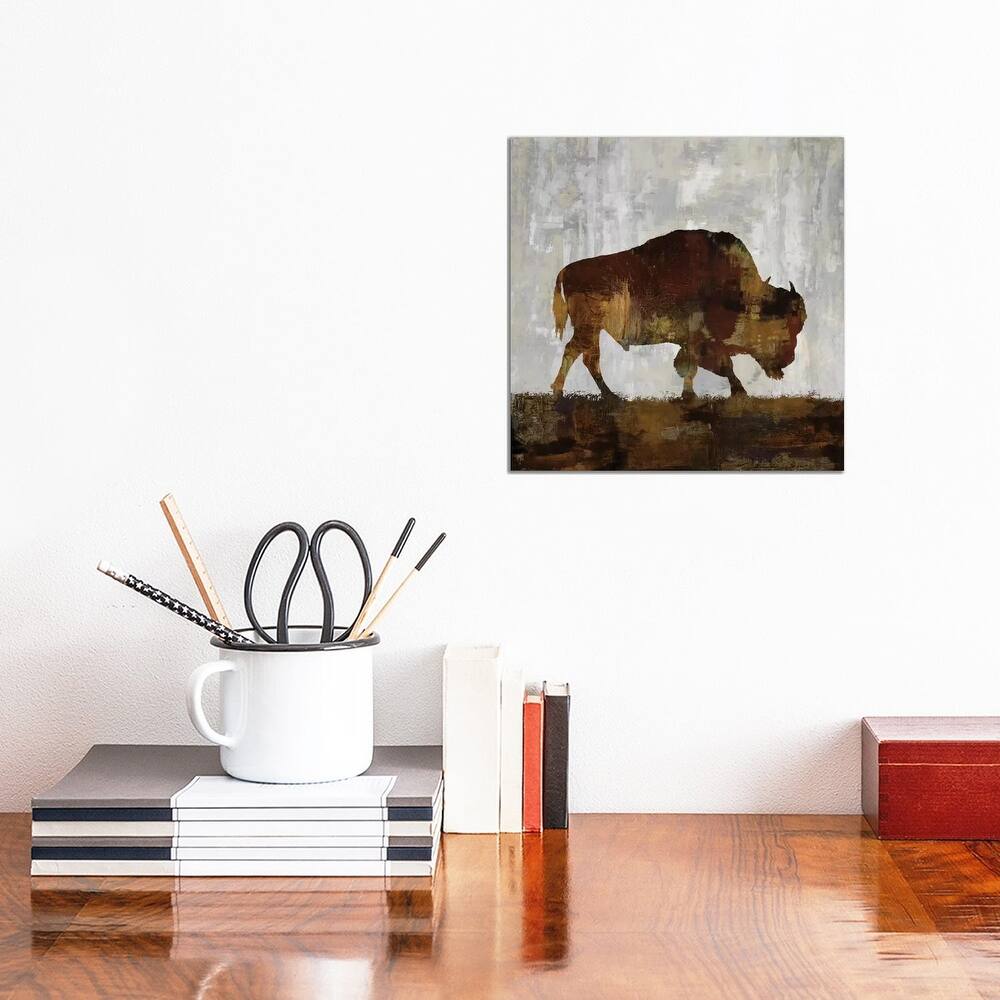 iCanvas "Bison" by Carl Colburn Canvas Print
