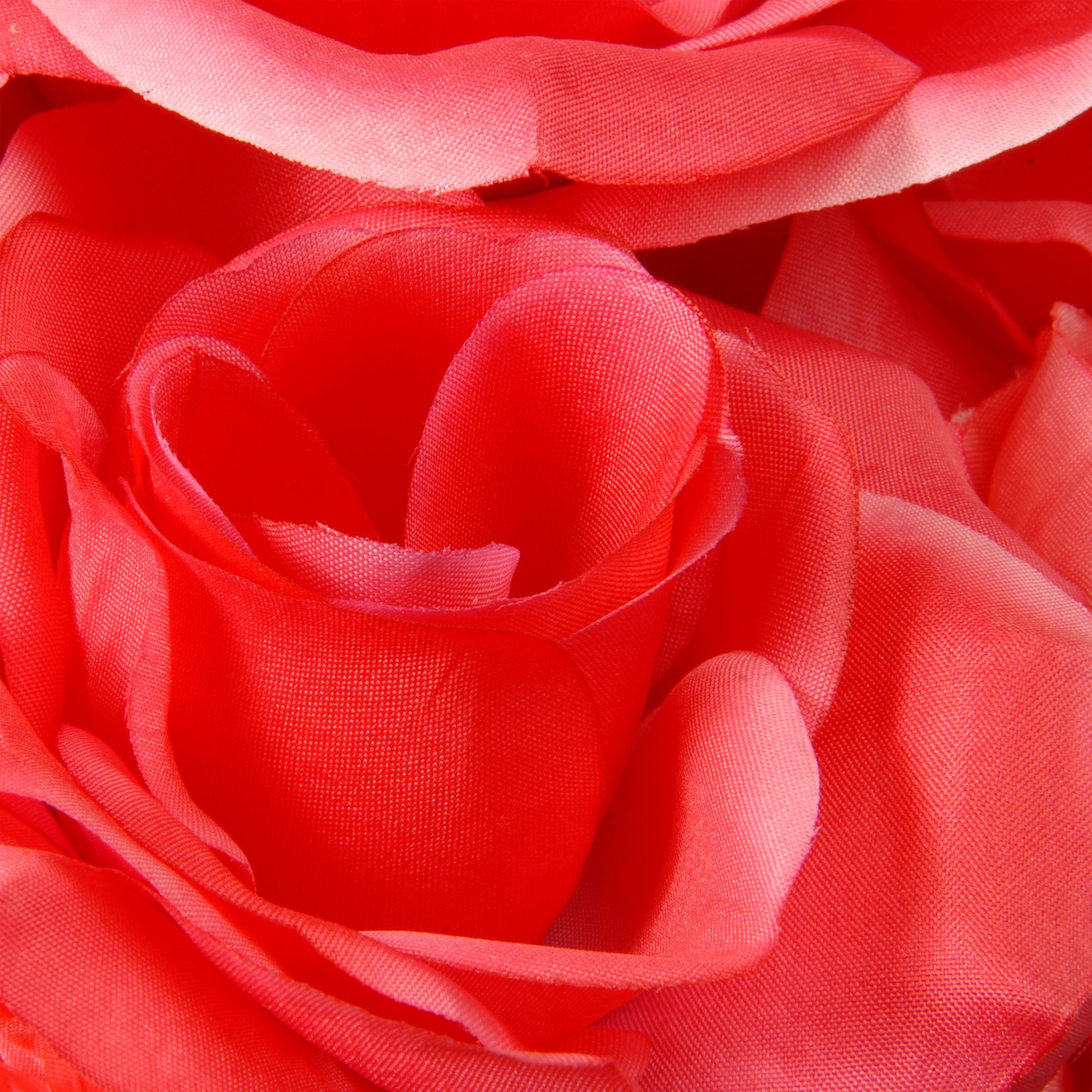 rose♤rose Amazon.com : DouxiE 20pcs Rare Twin Red White Rose Flower