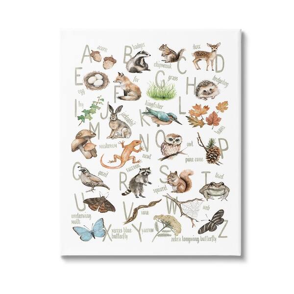 Stupell Woodland Nature Alphabet Canvas Wall Art Design By Ziwei Li ...