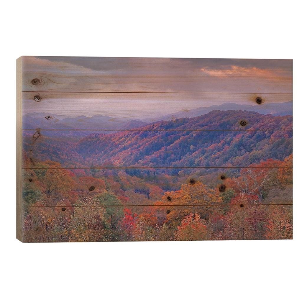 Autumn Deciduous Forest, Great Smoky Mountains National Park, Tennessee Print On Wood by Tim Fitzharris - Multi-Color