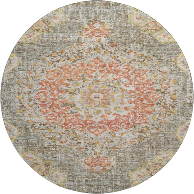 Premium Washable Super Soft Vintage Traditional Mayfield Rug