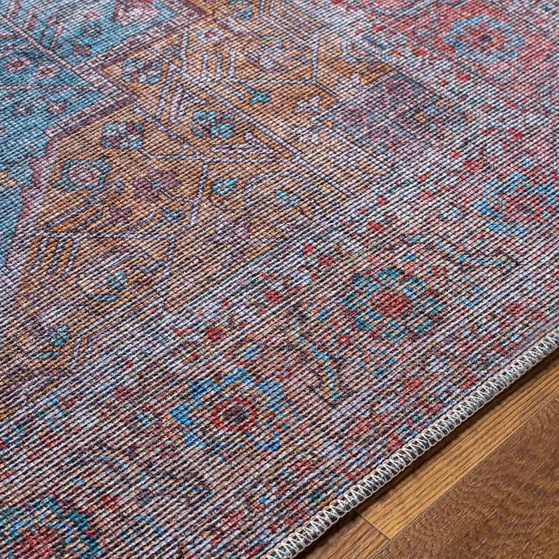 Madha Traditional Medallion Area Rug