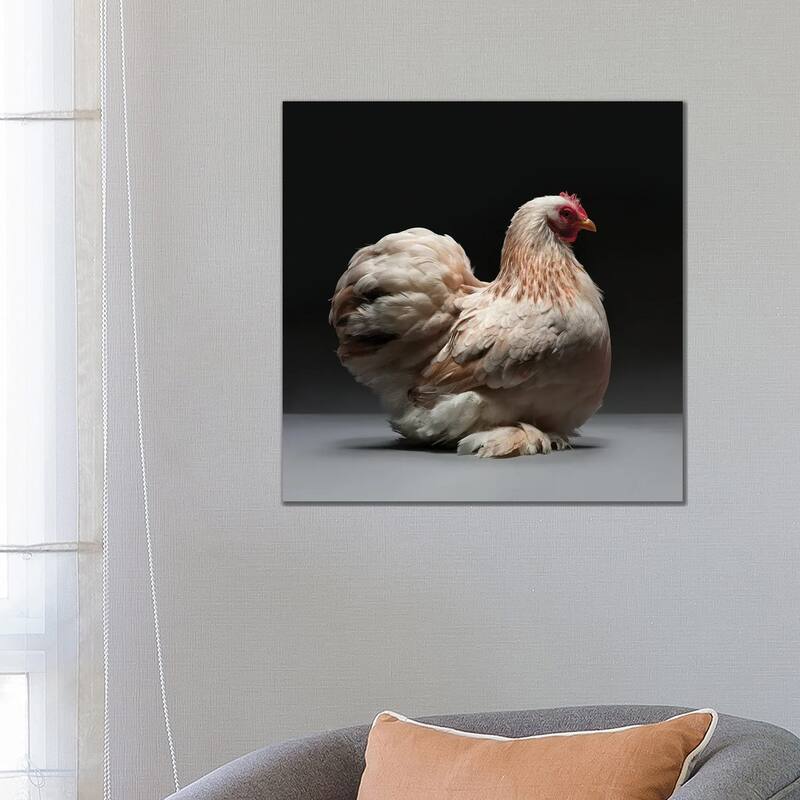 iCanvas "Cochin Bantam" by CHICken Canvas Print - 26x26x1.5