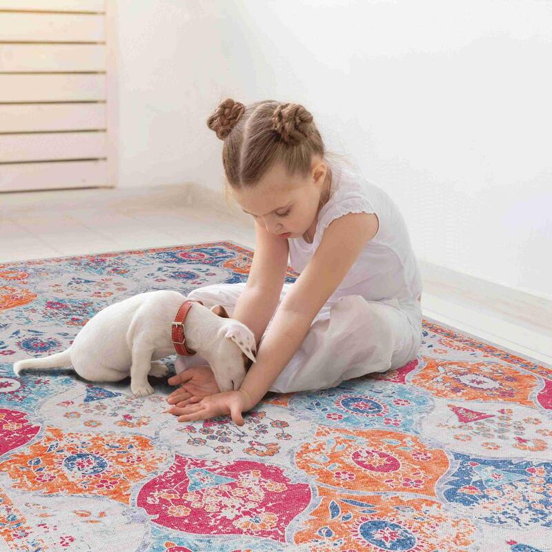 Rustic Rustic Multi-Color Washable Rug