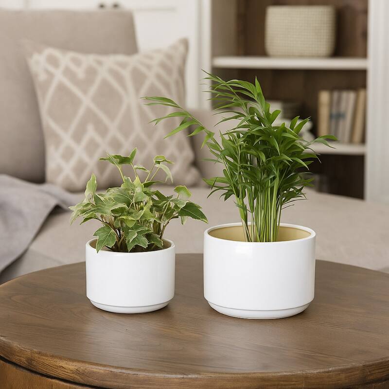Accent Planter Set of 2, Wide Base, Modern Minimalist White Ceramic