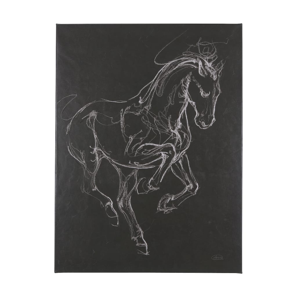 Horse III (42 x 56 ) Canvas Art Print