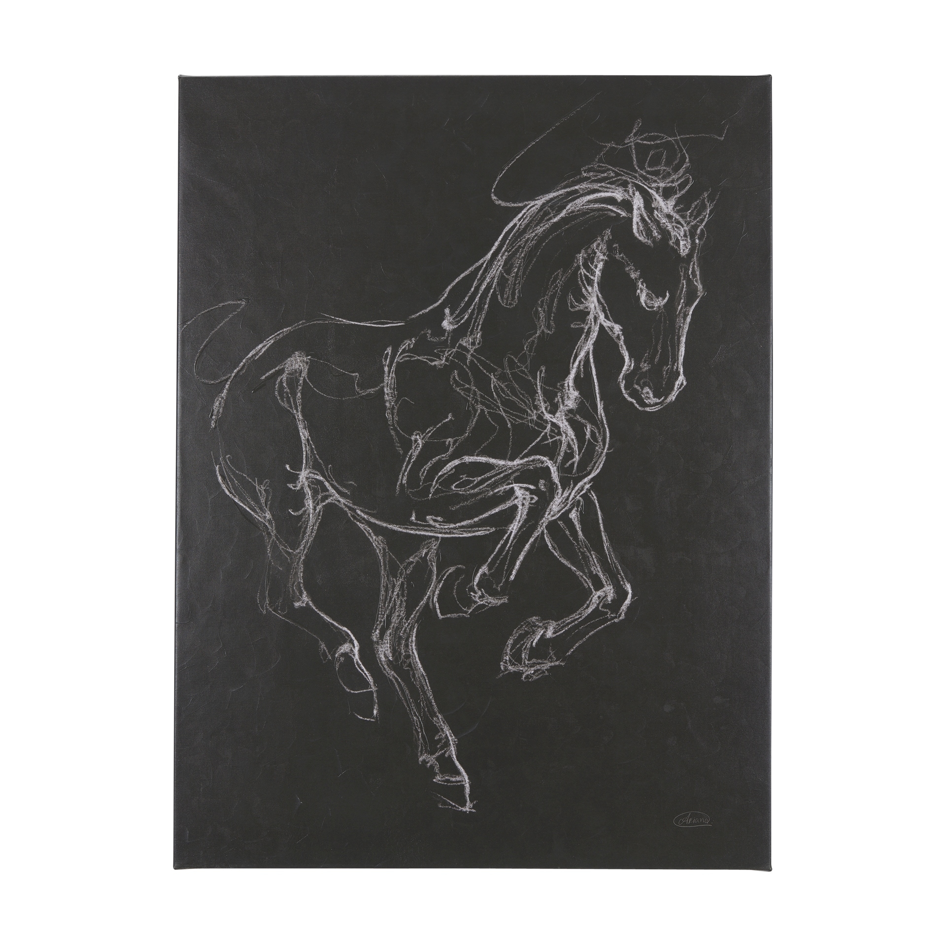 Horse III (42 x 56 ) Canvas Art Print