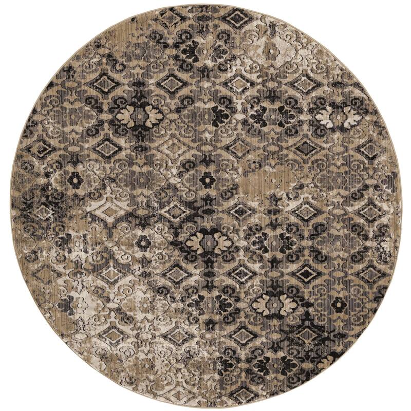 Gracewood Hollow Renza Distressed Emblum Rug