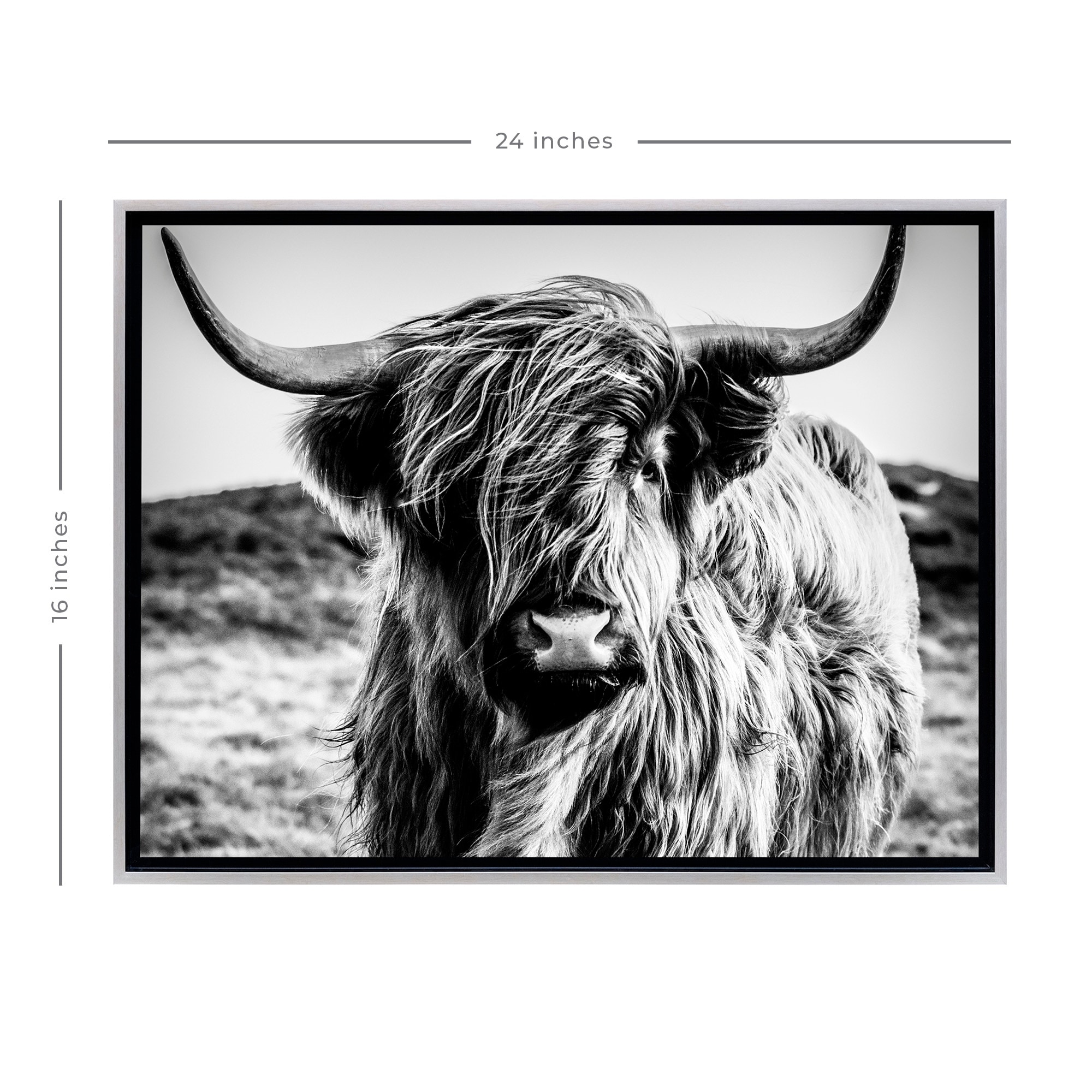 Stratton Home Decor Black and White Highland Cow Framed Canvas Wall Art  Champagne Bed Bath  Beyond 37855550