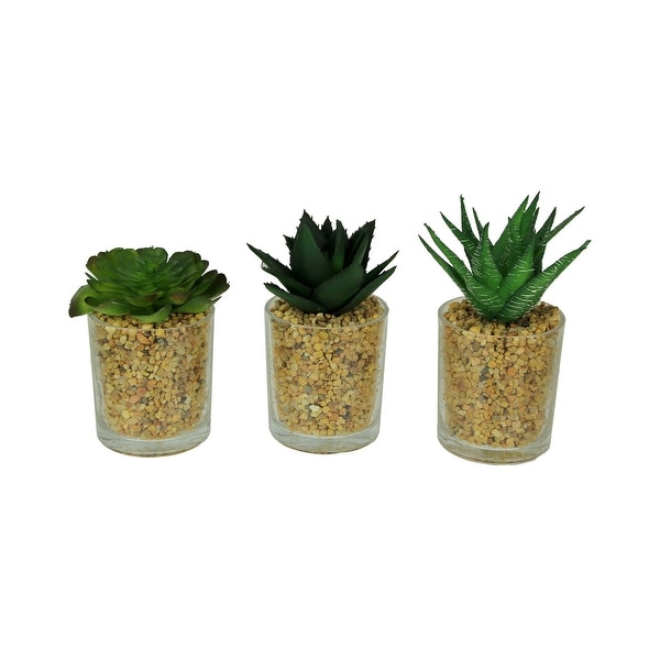 Artificial Succulent Plants in Glass Planter Mini Potted Gravel Garden Set of 3 - 6.5 X 3 X 3 inches