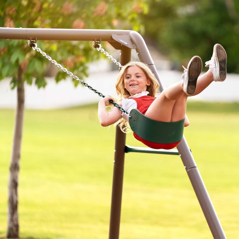 Lifetime Kids Swing Set