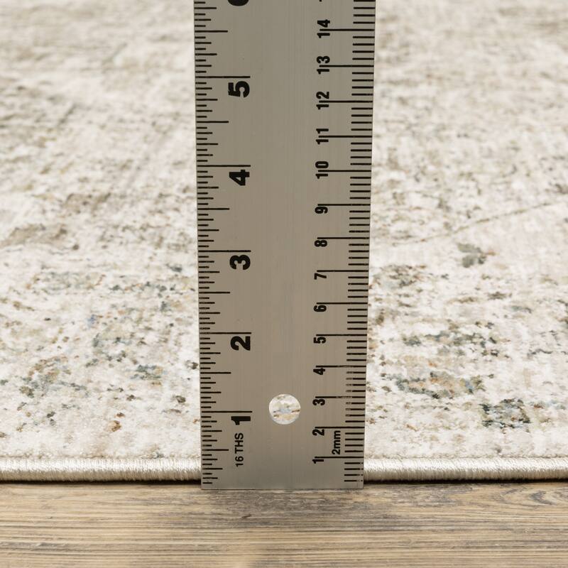 Amira Distressed Traditional Beige/ Grey Area Rug