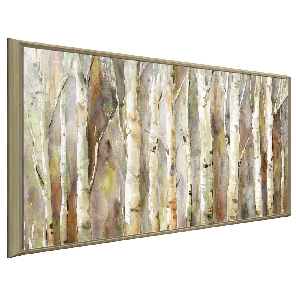 "Birch Path" by Carol Robinson Print on Floating Canvas