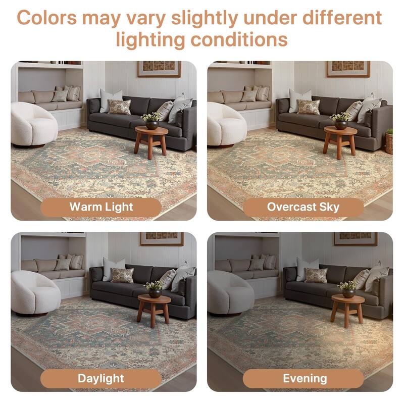 Mcow Vintage Boho Distressed Chenille Low-Pile Area Rug