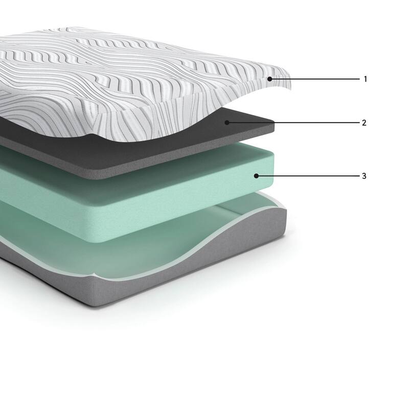 Meny California King Mattress, Memory Foam, Body Support 10 Inch