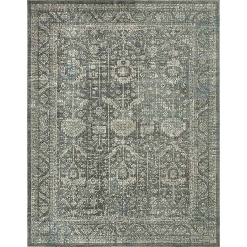 Anila Collection Light Blue, Beige and Silver Transitional Oriental Area Rug