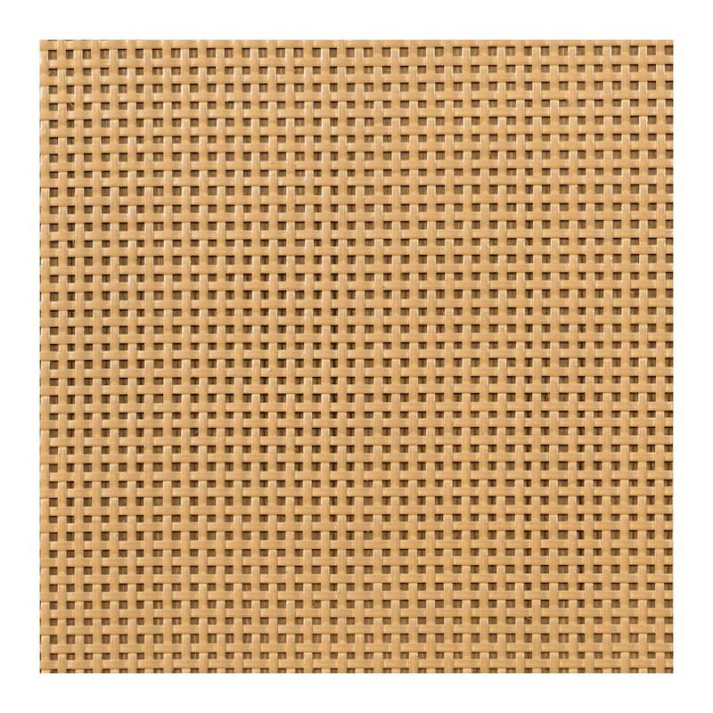 Martha Stewart Lily Pond Salina Woven Cane Queen Platform Bed