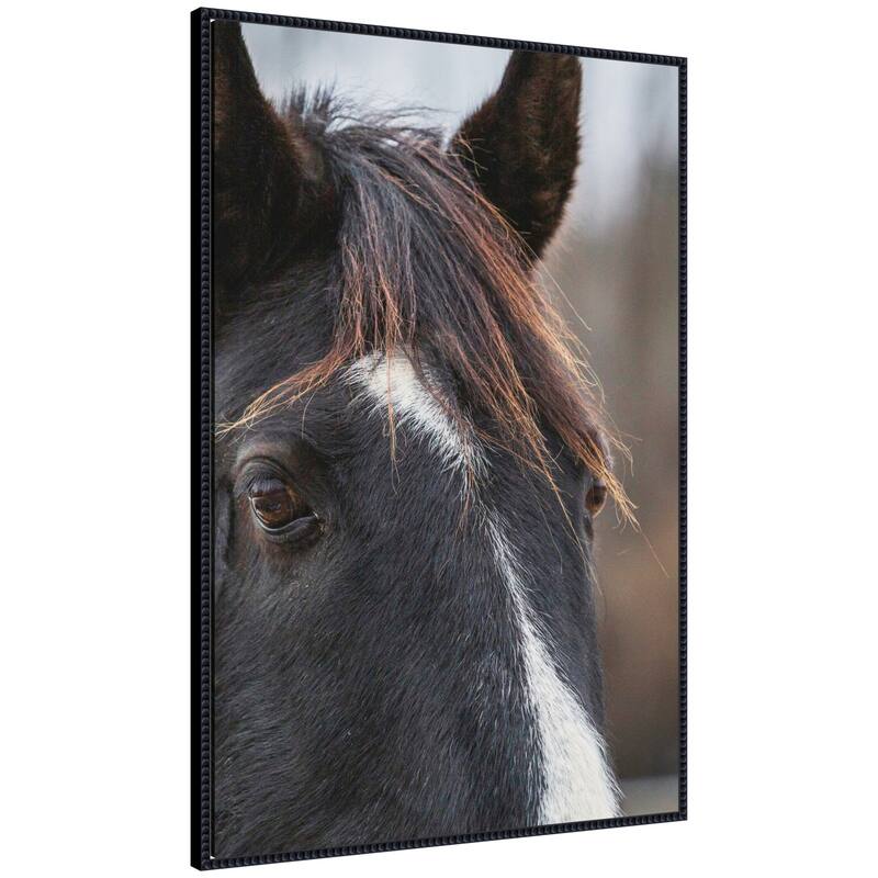 Kate and Laurel Black and White Horse by Emiko and Mark Franzen F2 Images Framed Canvas Wall Art Print - 28 x 41