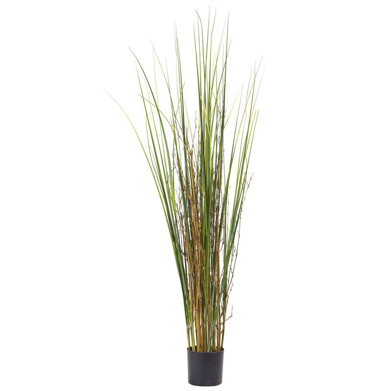 Tall Grass Bamboo Plant 4Ft - Indoor Greenery Decor Home Office Zen Atmosphere - 4ft.