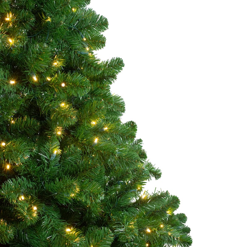 12' Pre-Lit Full Olympia Pine Artificial Christmas Tree - Warm White Lights