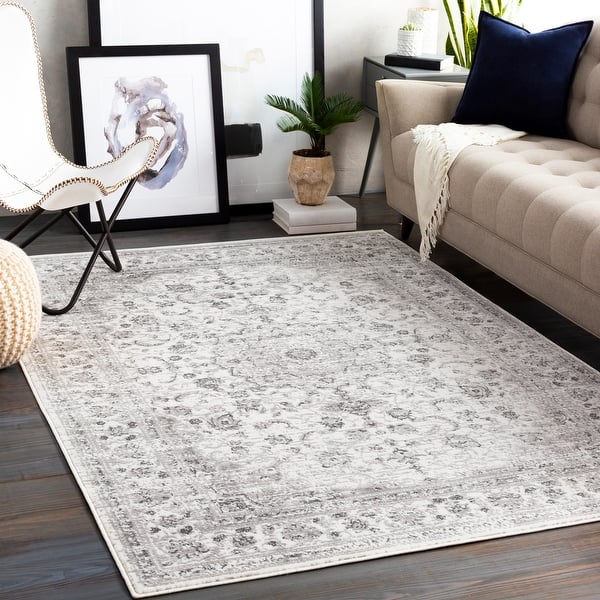 Shop Porch Den Moon Valley Distressed Traditional Area Rug