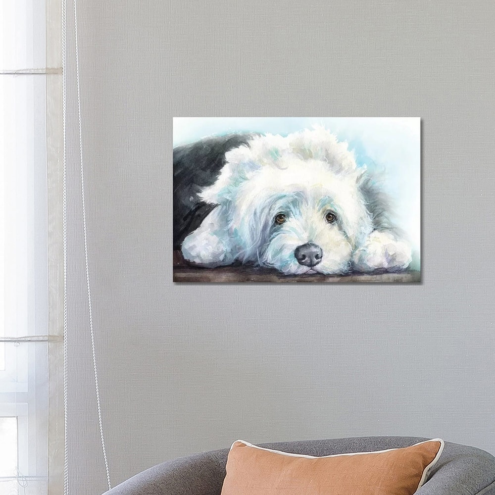 iCanvas "Old English Sheepdog Puppy" by George Dyachenko Canvas Print