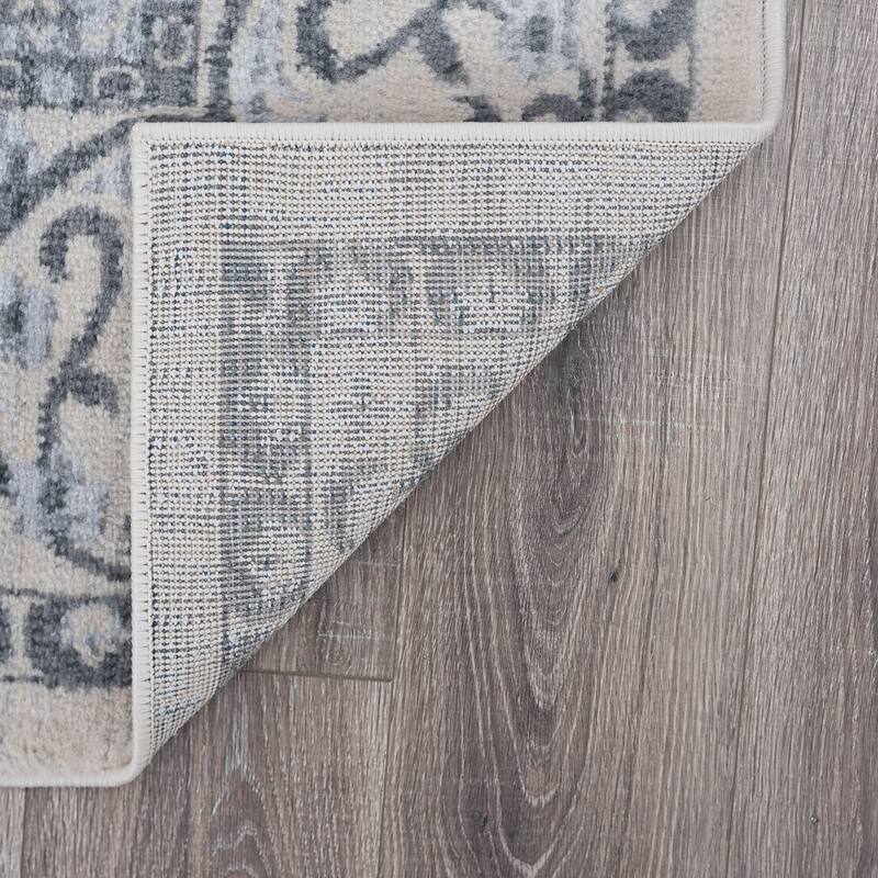 Carrington Shabby Chic Medallion Indoor Area Rug