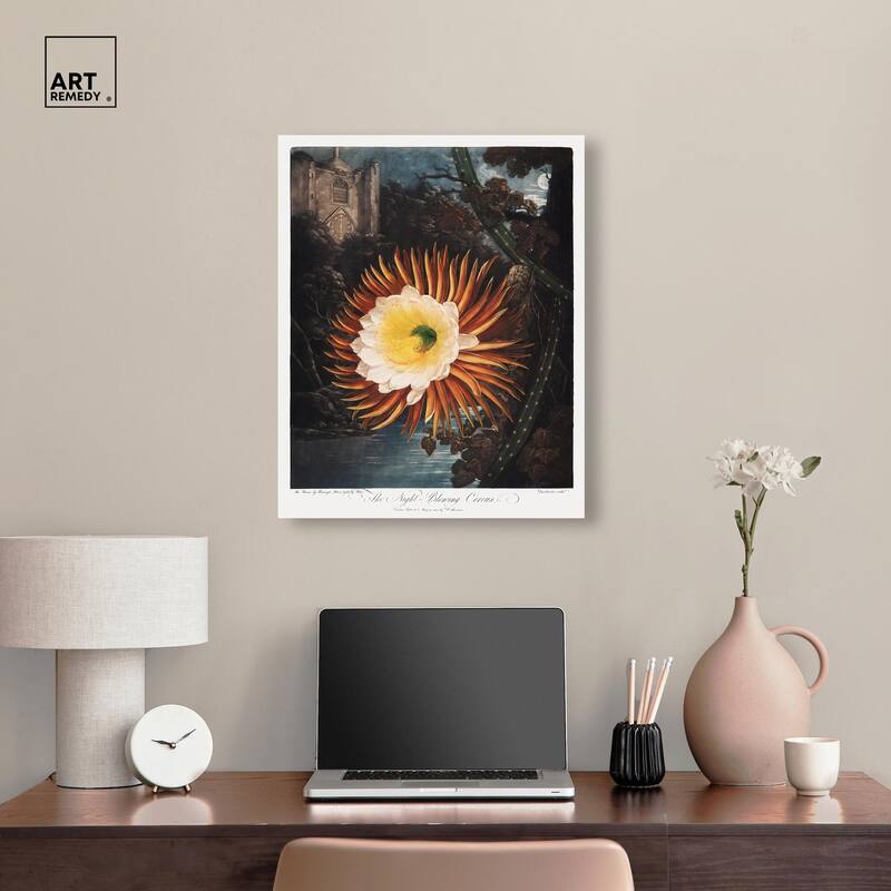 Night-Blowing Cereus 1807 Canvas by Art Remedy, Gallery Wrapped