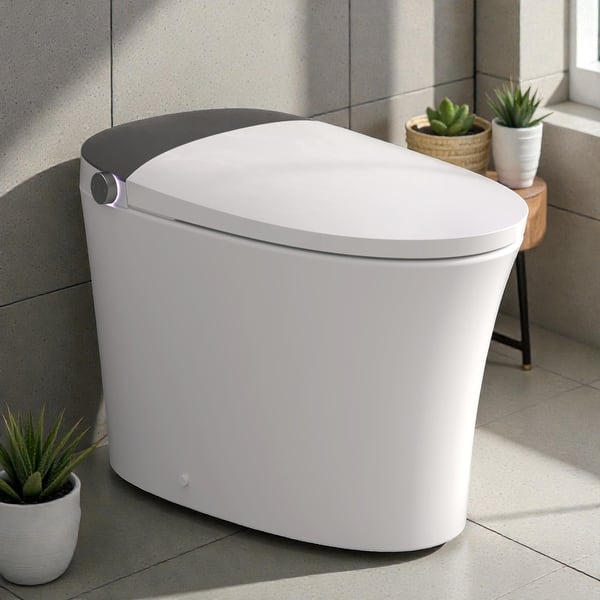 Smart Toilet With Bidet Built In One Piece Bidet Toilet | INDIA Smart Toilet With Bidet Built In One Piece Bidet Toilet | INDIA