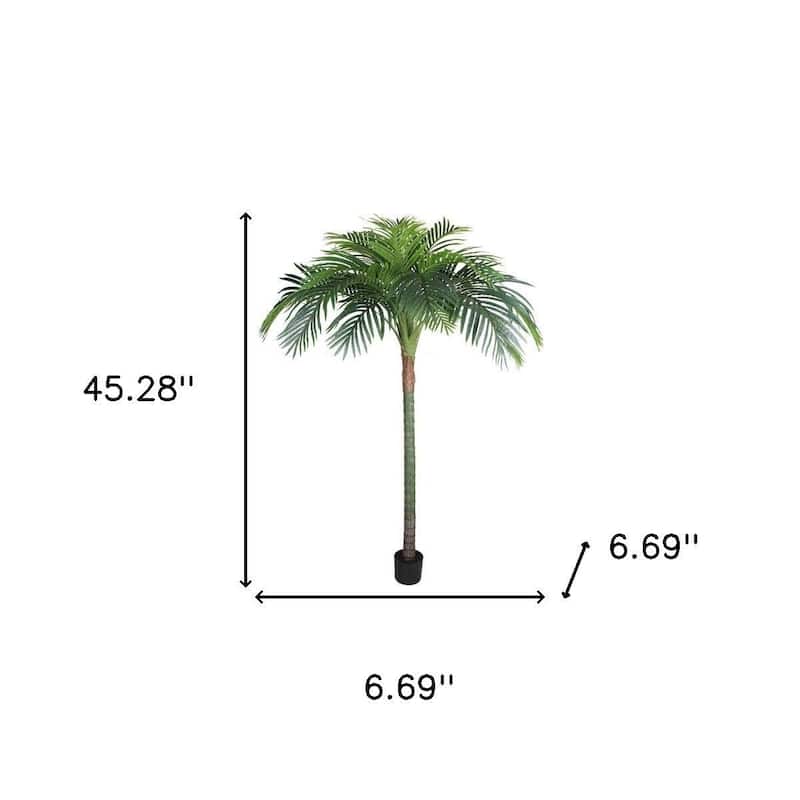 HomeRoots 63" Green Artificial Palm Tree in a Black Pot - 6.69 in. x 62.99 in. x 6.69 in.