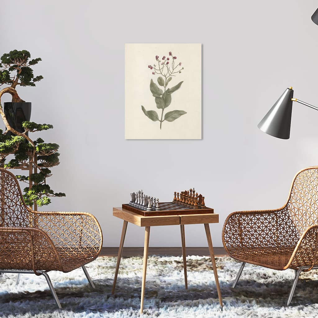 Wynwood Studio Canvas Floral and Botanical Luigi Balugani - Ehretia Cymosa Thonning White and Traditional Wall Art Canvas Print