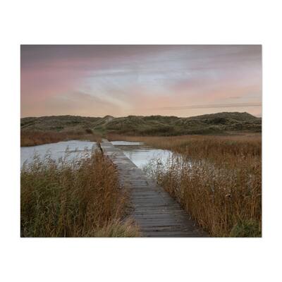 Ameland Friesland Netherlands Photography Botany Art Print/Poster