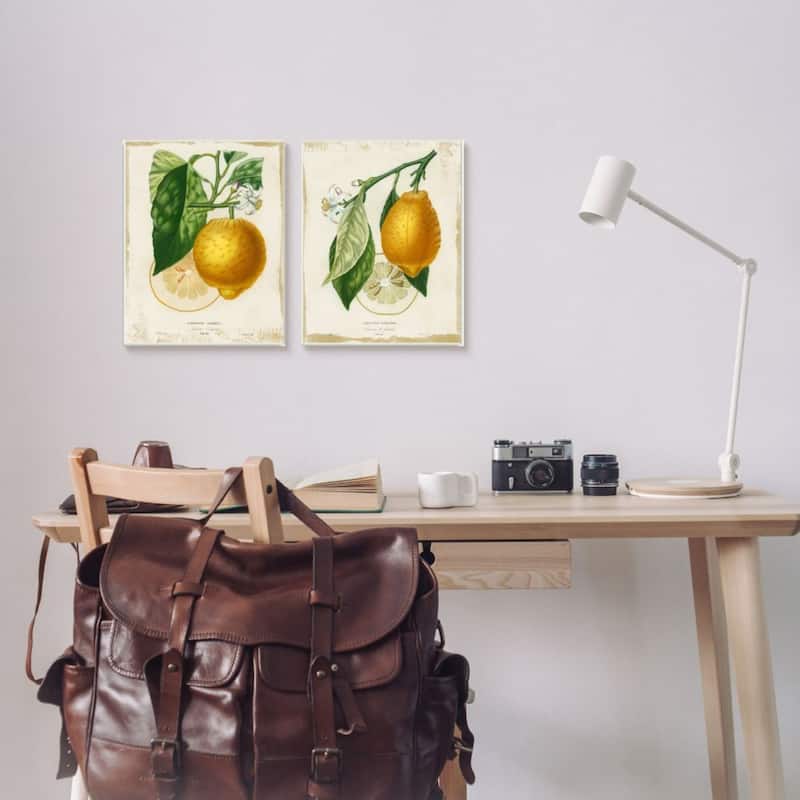 Stupell Floral Lemon Branch with French Script, 2pc Multi Piece Framed Wall Art Set