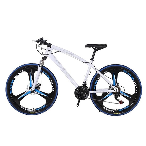 double disc bicycle