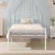 Option White