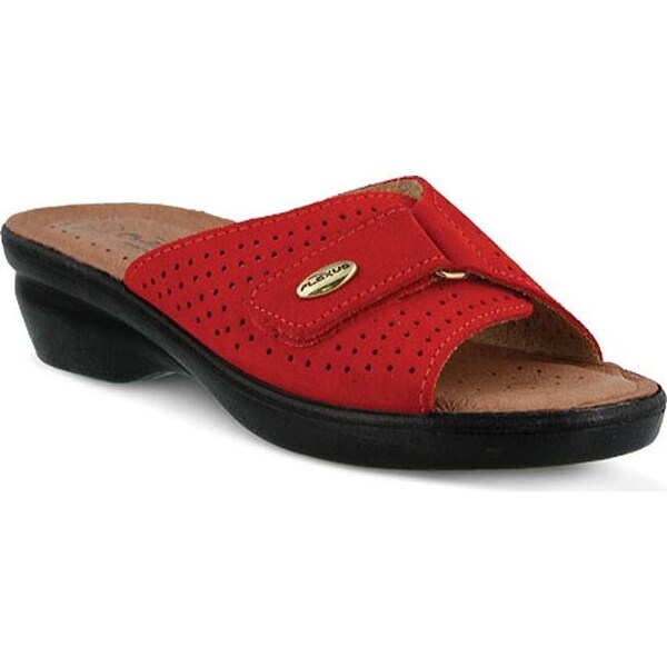 flexus by spring step