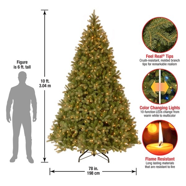 Downswept douglas fir on sale