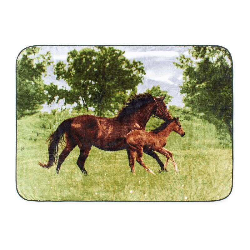 Hi Pile 60x80 Oversized Luxury Throw