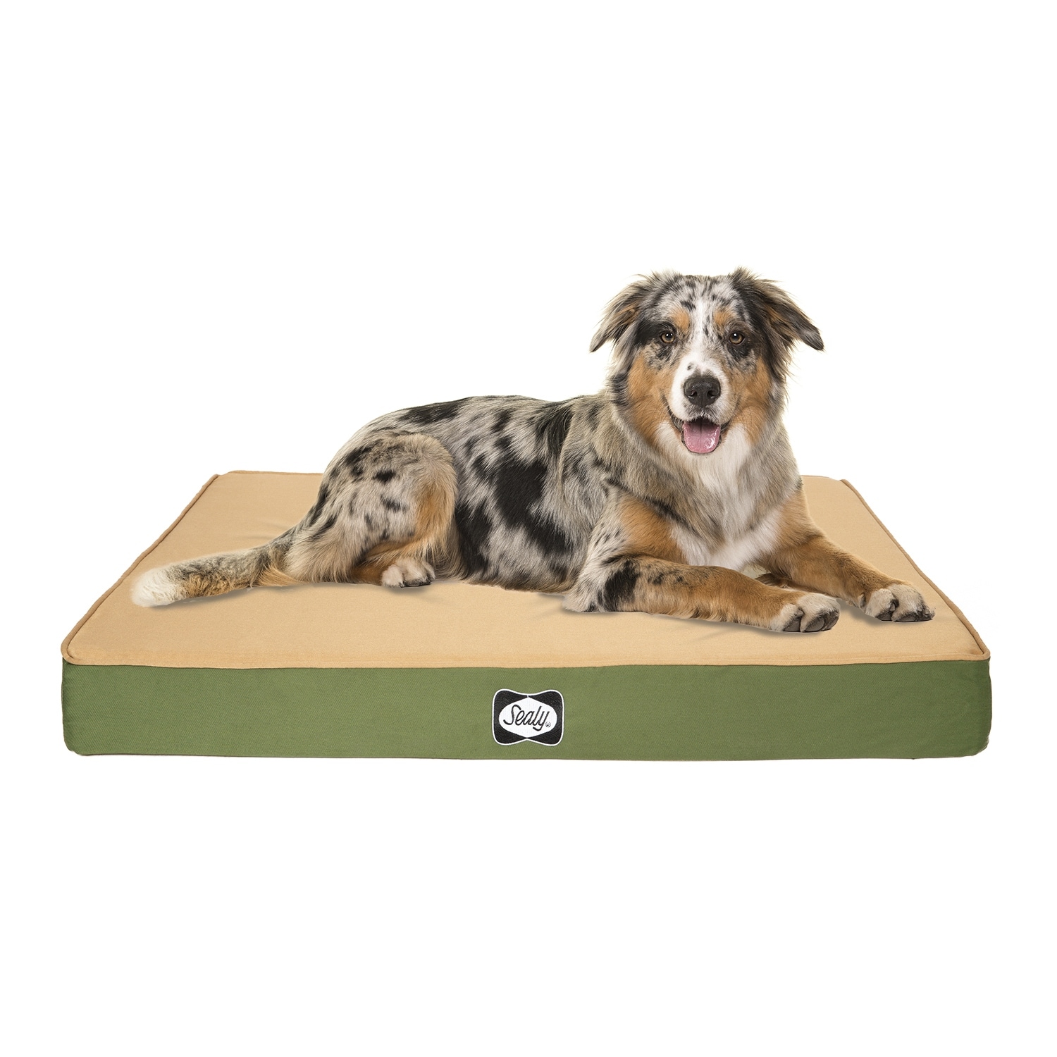 その他 Sealy Dog Bed Sealy-Dog-Bed-Defender-Indoor-