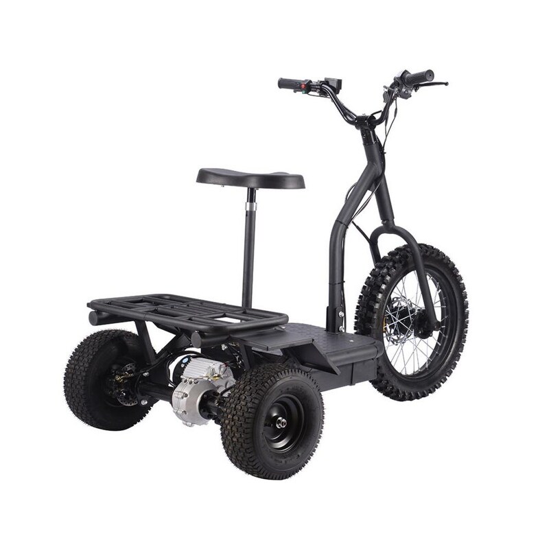 mototec electric trike