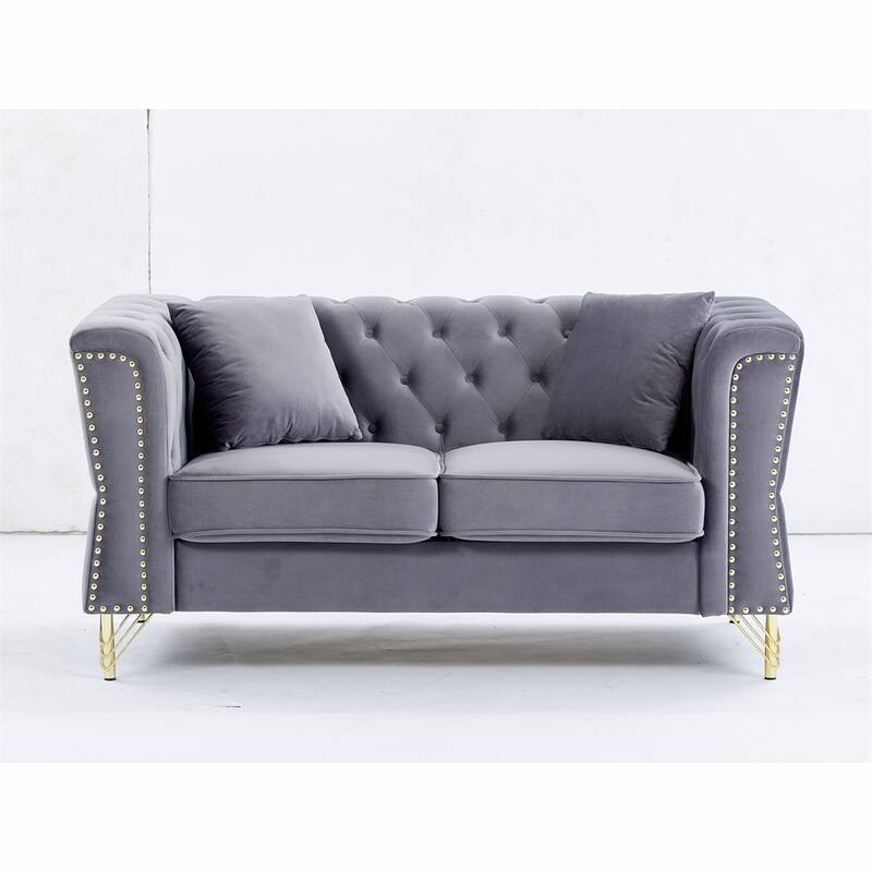 2 Seater Sofa Tufted Couch with Metal Foot and Nailhead