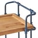 preview thumbnail 10 of 16, Eden Antique Firwood Bar Cart by Christopher Knight Home