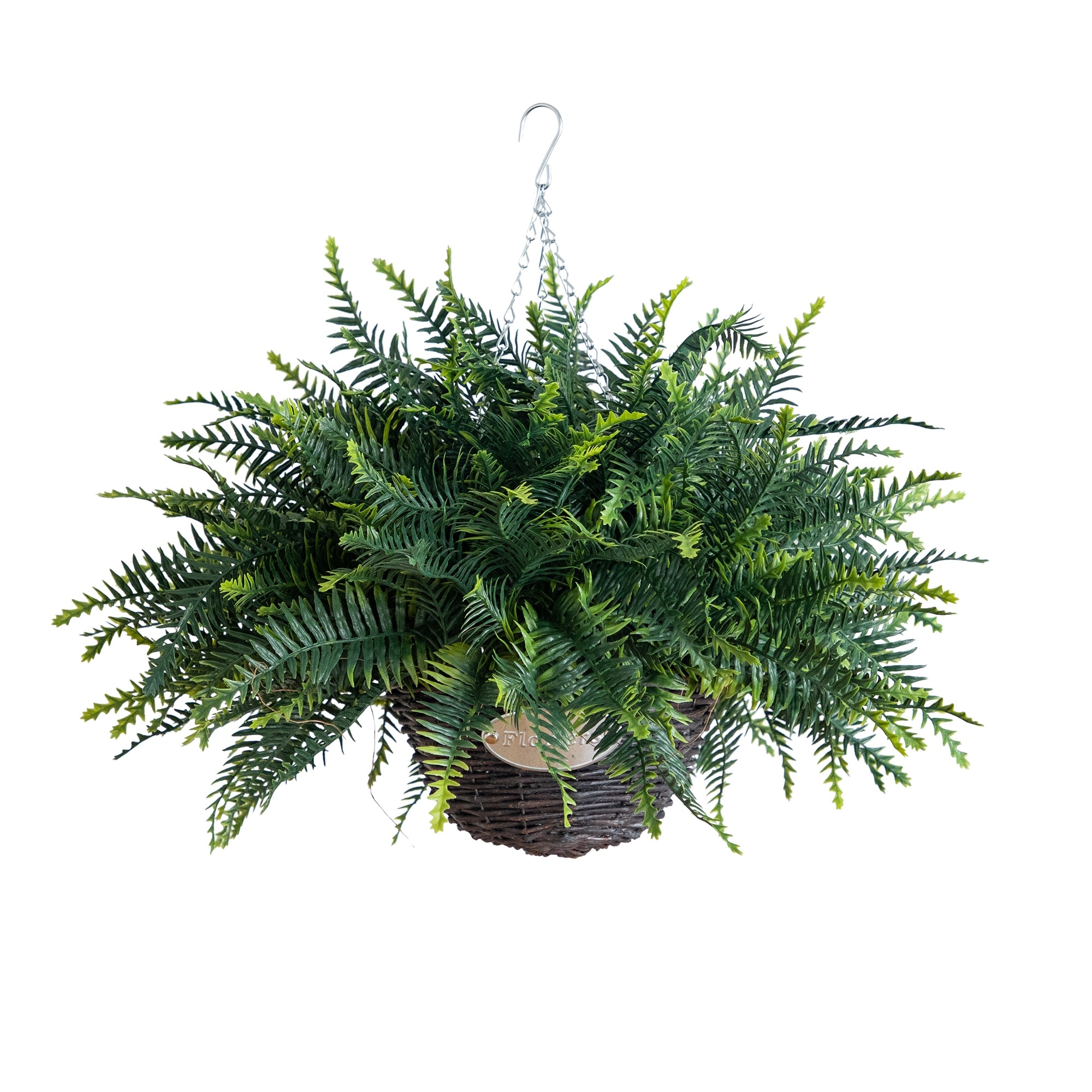 21-in UV Resistant Fern in Hanging Basket (Indoor/Outdoor) - Set of 2