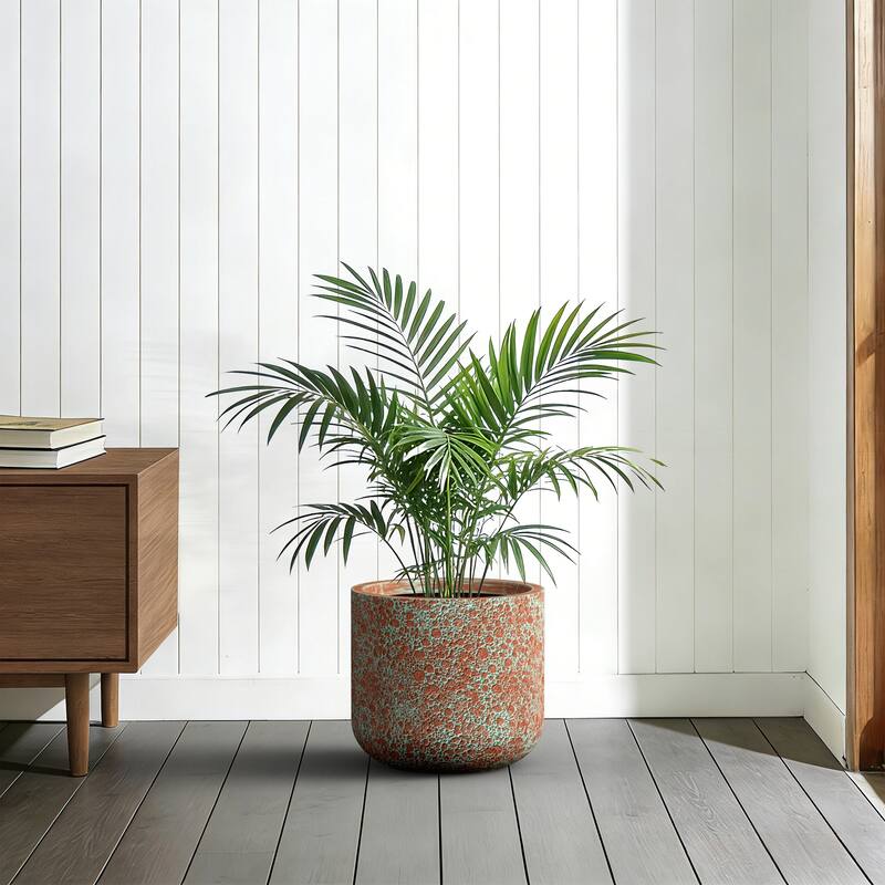 Concrete Round Cylindrical Planter / Pot with Drainage Holes