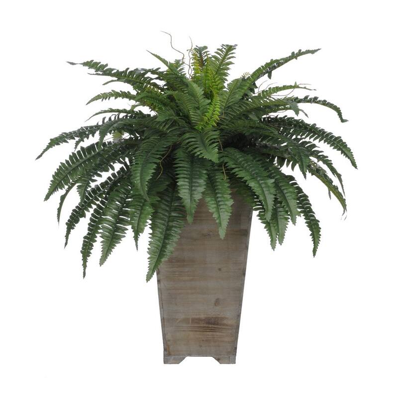 Faux Fern in Tall Washed-Wood Planter